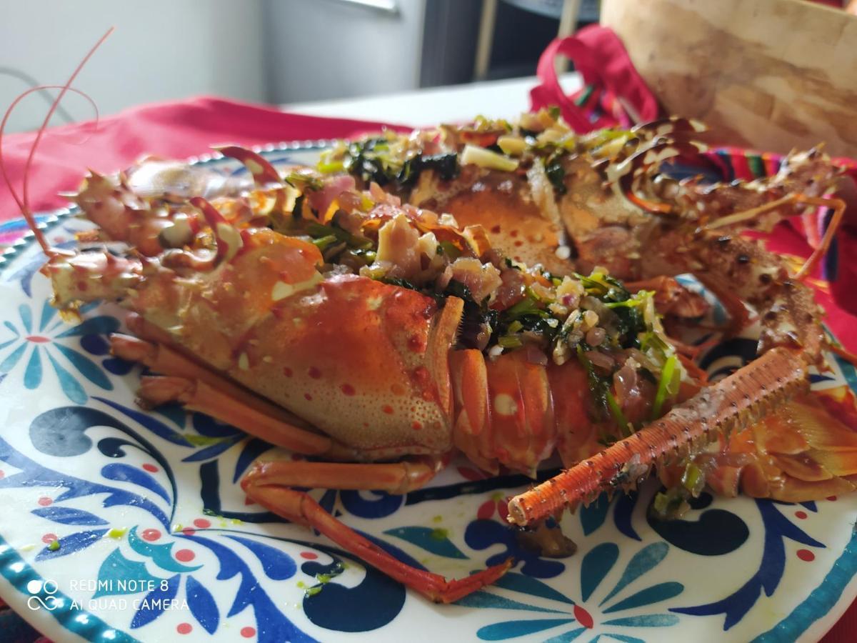 Los Versos De Zaira San Onofre 外观 照片