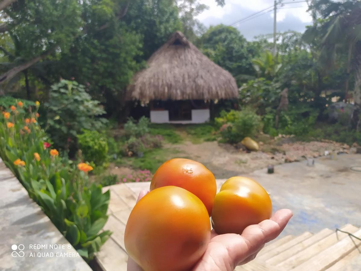 Los Versos De Zaira San Onofre 外观 照片