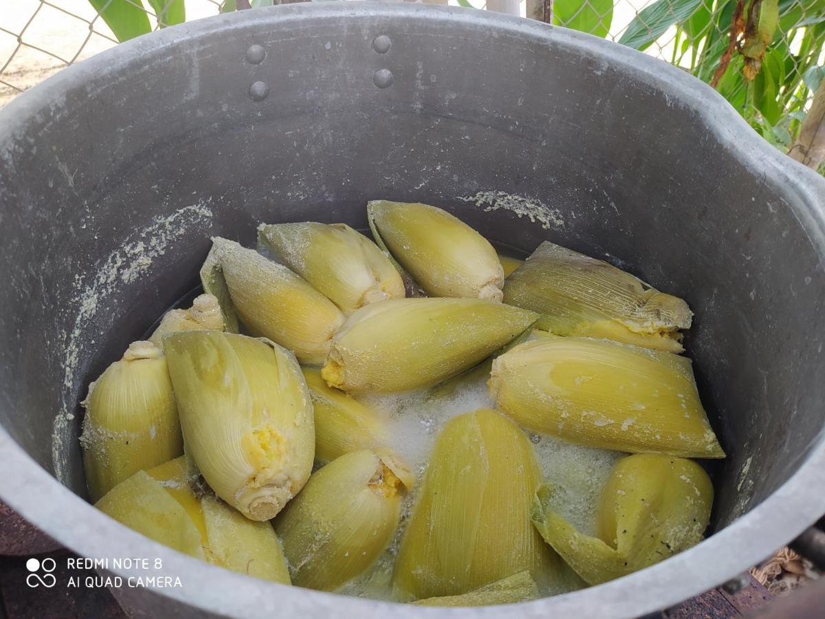 Los Versos De Zaira San Onofre 外观 照片