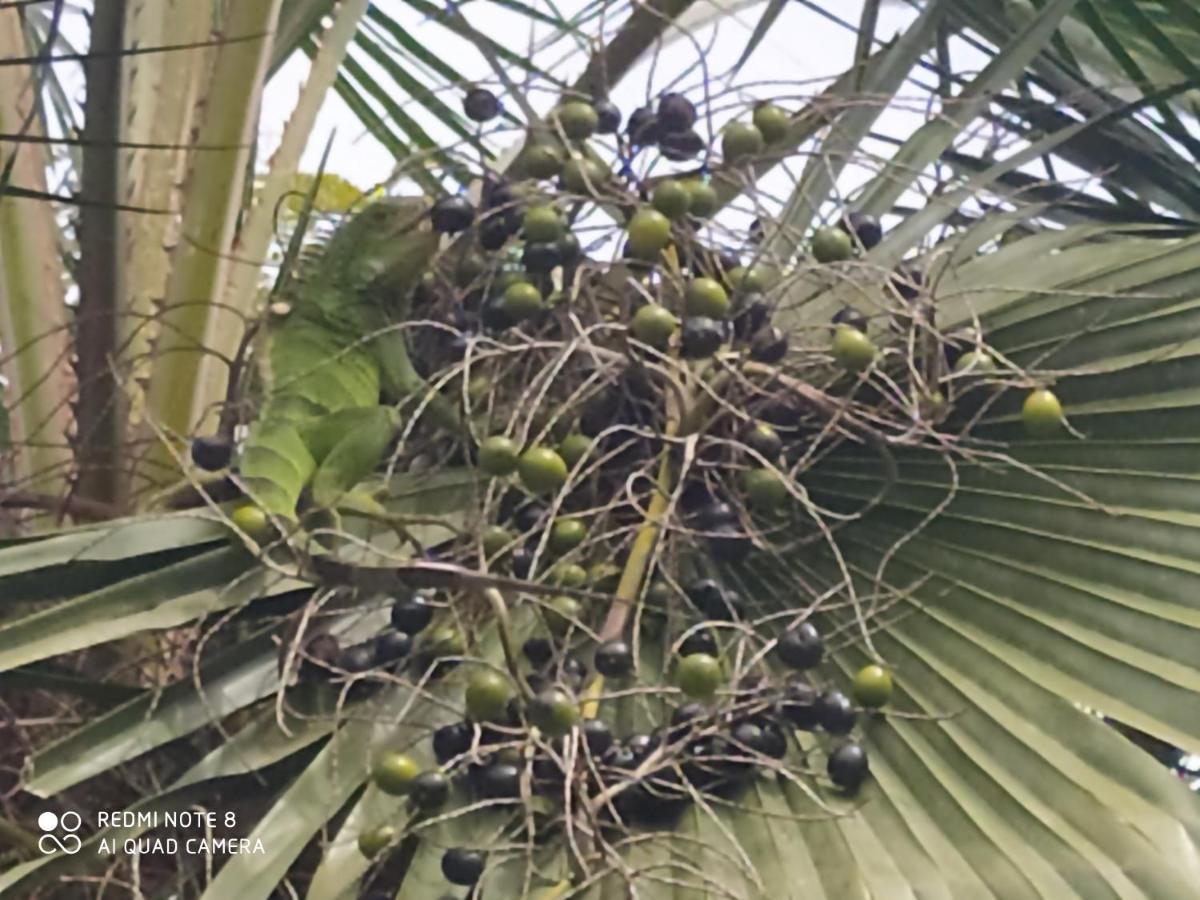 Los Versos De Zaira San Onofre 外观 照片