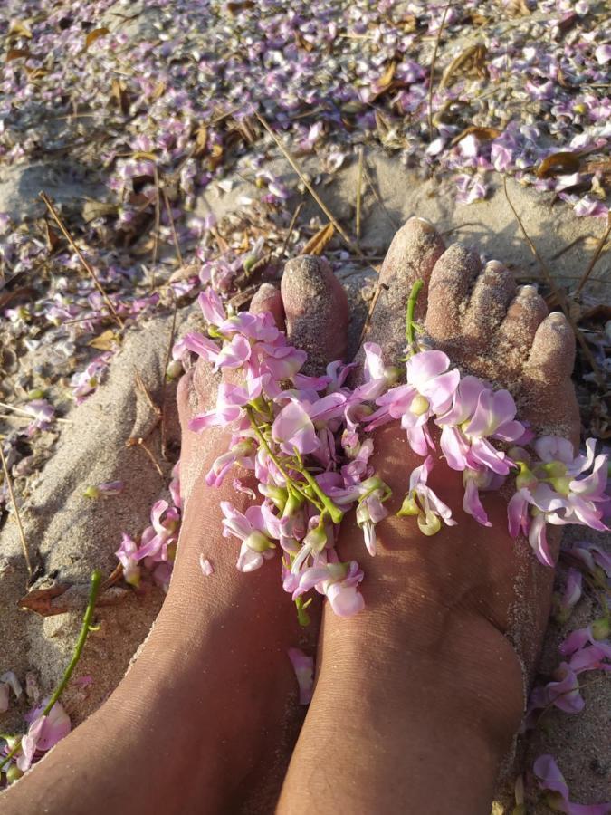 Los Versos De Zaira San Onofre 外观 照片